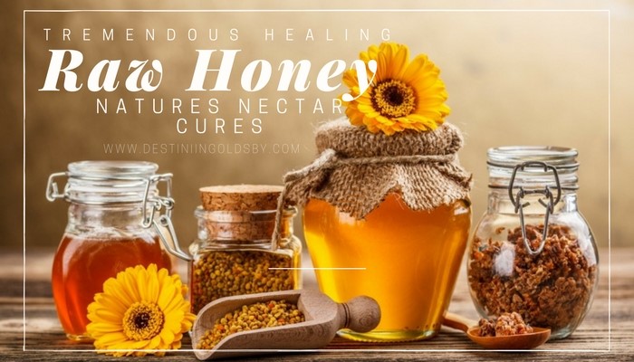  Toddlers And Raw Honey Broadmoor Estates Mesquite TX